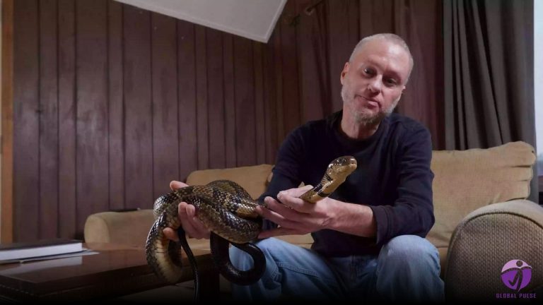 Man’s 200 snakebites lead to groundbreaking antivenom discovery 
